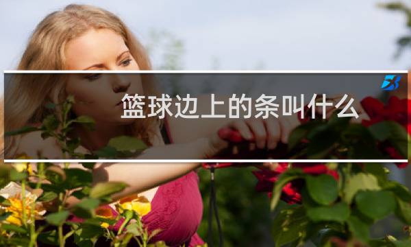 篮球边上的条叫什么图片