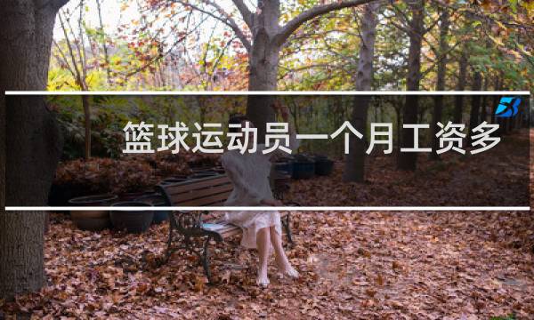 篮球运动员一个月工资多少图片