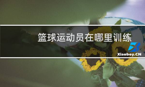 篮球运动员在哪里训练图片