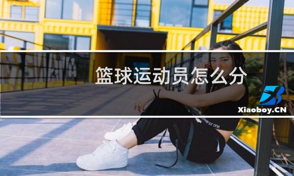 篮球运动员怎么分图片