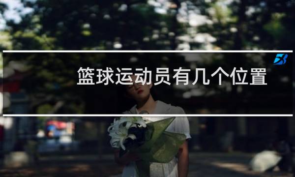 篮球运动员有几个位置图片