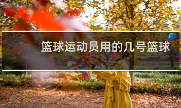 篮球运动员用的几号篮球图片