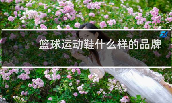 篮球运动鞋什么样的品牌最好图片