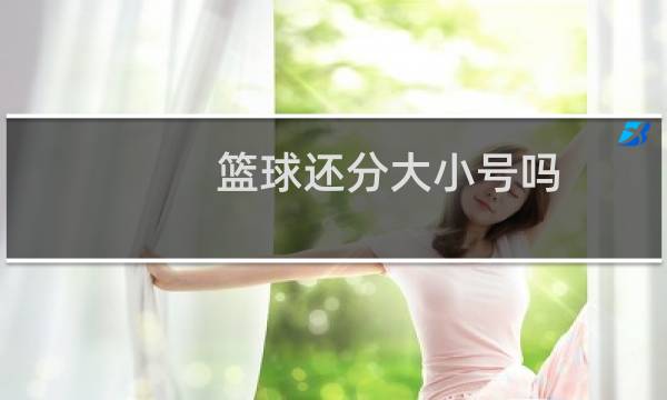 篮球还分大小号吗图片