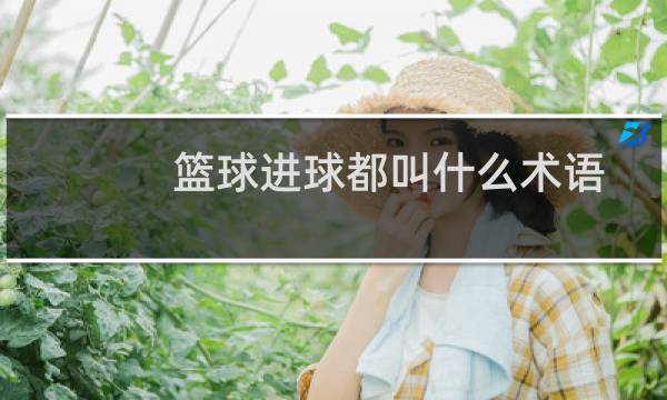 篮球进球都叫什么术语图片