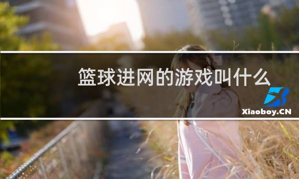 篮球进网的游戏叫什么图片