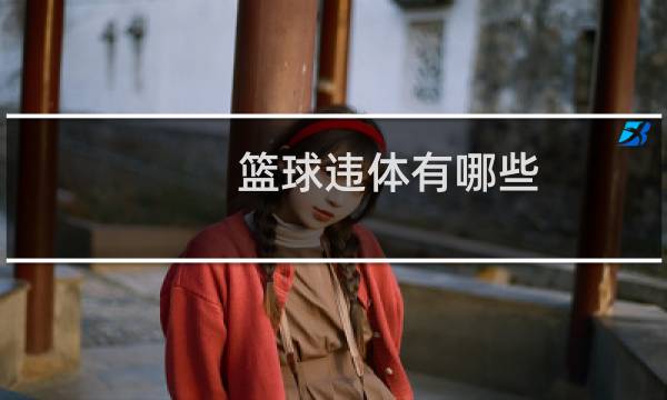 篮球违体有哪些图片
