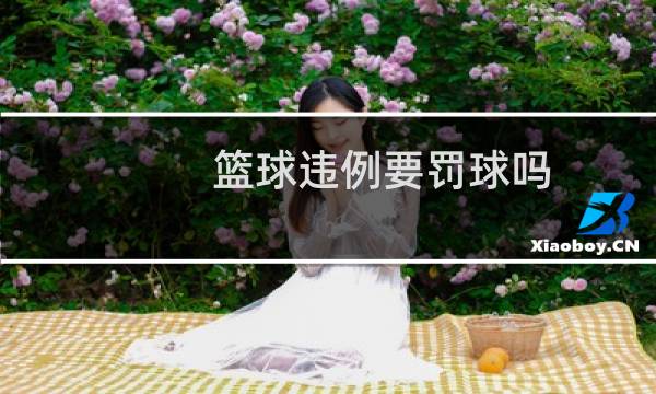 篮球违例要罚球吗图片