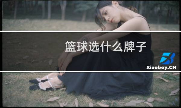 篮球选什么牌子图片