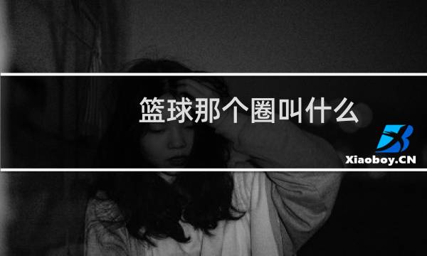 篮球那个圈叫什么图片
