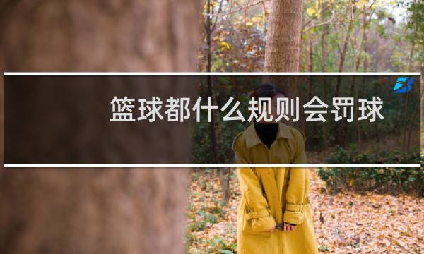 篮球都什么规则会罚球图片