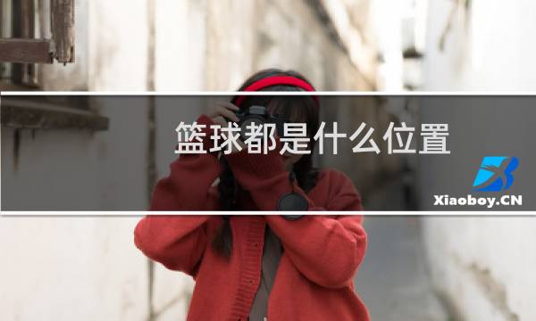 篮球都是什么位置图片