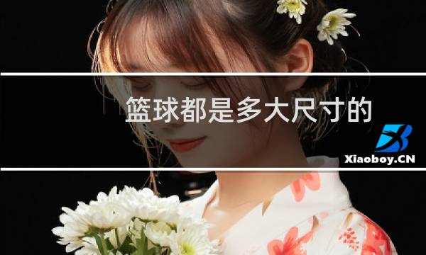 篮球都是多大尺寸的图片