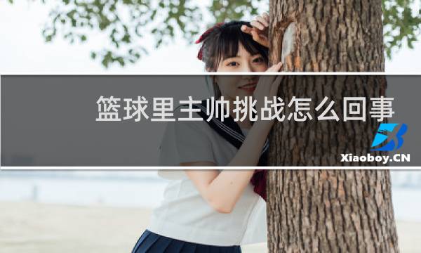 篮球里主帅挑战怎么回事图片