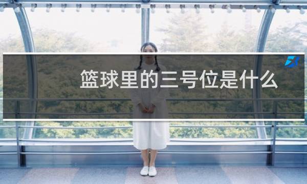 篮球里的三号位是什么图片