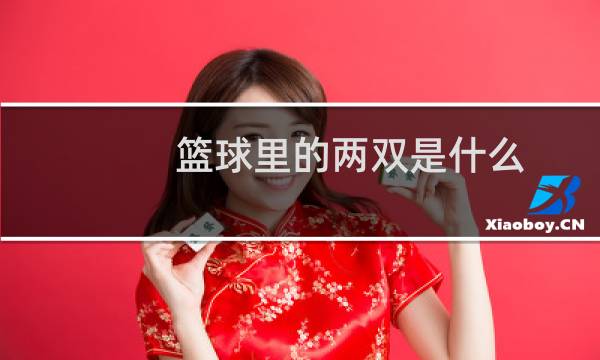 篮球里的两双是什么图片