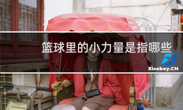 篮球里的小力量是指哪些图片