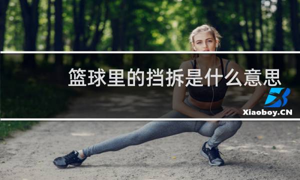 篮球里的挡拆是什么意思图片