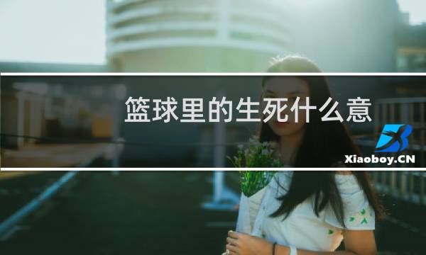 篮球里的生死什么意图片