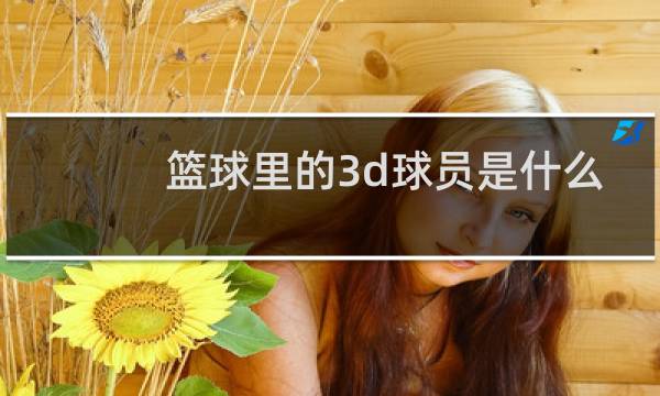 篮球里的3d球员是什么意思图片