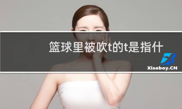 篮球里被吹t的t是指什么图片