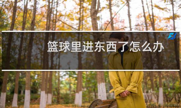 篮球里进东西了怎么办图片