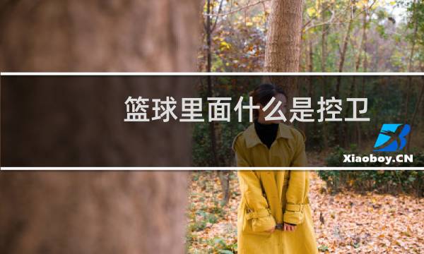 篮球里面什么是控卫图片