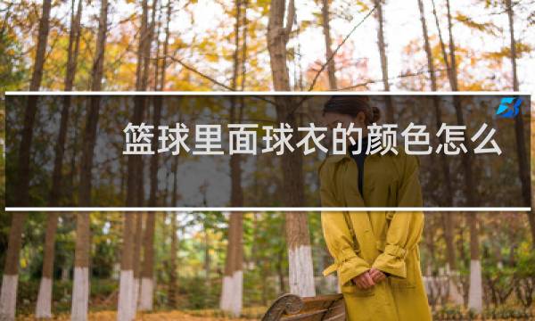 篮球里面球衣的颜色怎么区分主客队图片
