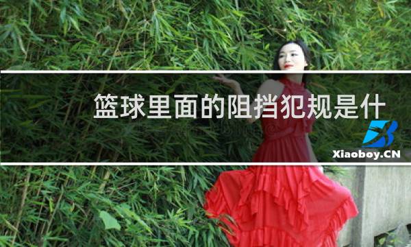 篮球里面的阻挡犯规是什么意思图片