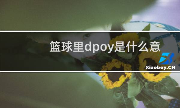 篮球里dpoy是什么意思图片