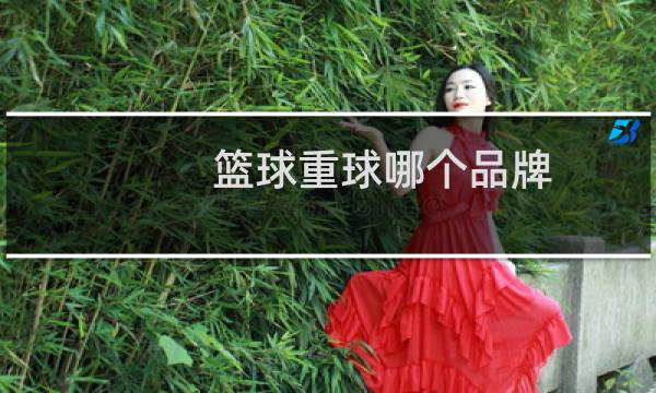 篮球重球哪个品牌图片