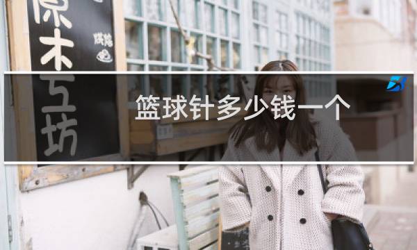 篮球针多少钱一个图片