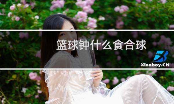 篮球钟什么食合球图片