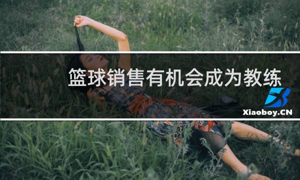 篮球销售有机会成为教练吗图片