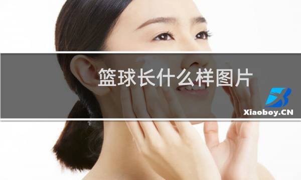 篮球长什么样图片图片