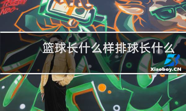 篮球长什么样排球长什么样足球长什么样图片