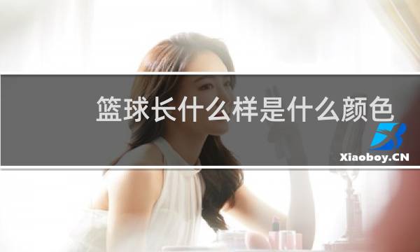 篮球长什么样是什么颜色图片