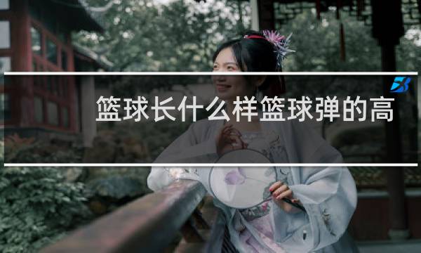 篮球长什么样篮球弹的高图片