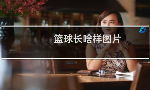 篮球长啥样图片图片