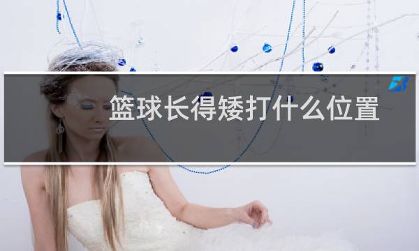 篮球长得矮打什么位置图片