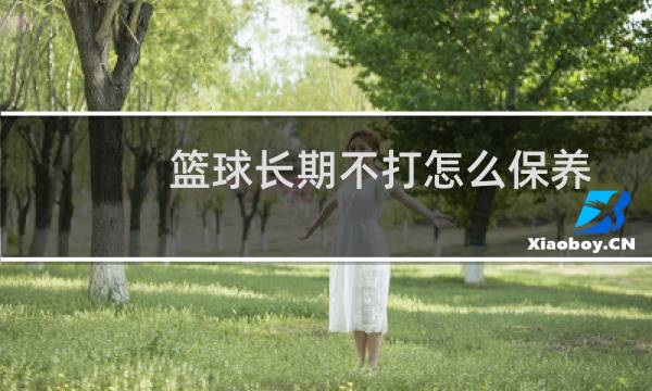 篮球长期不打怎么保养图片