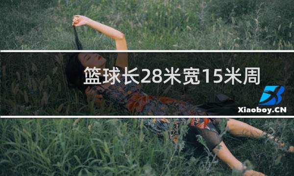 篮球长28米宽15米周长多少图片