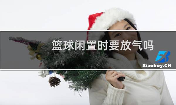 篮球闲置时要放气吗图片