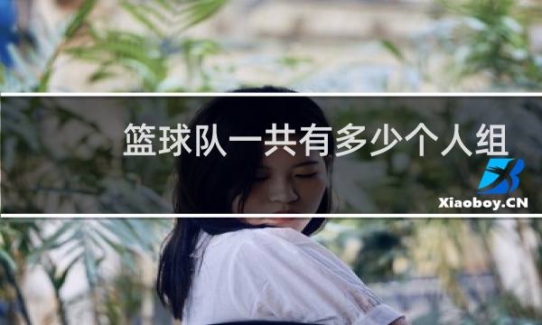 篮球队一共有多少个人组成图片