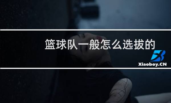 篮球队一般怎么选拔的图片