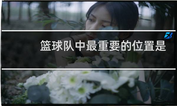 篮球队中最重要的位置是什么图片