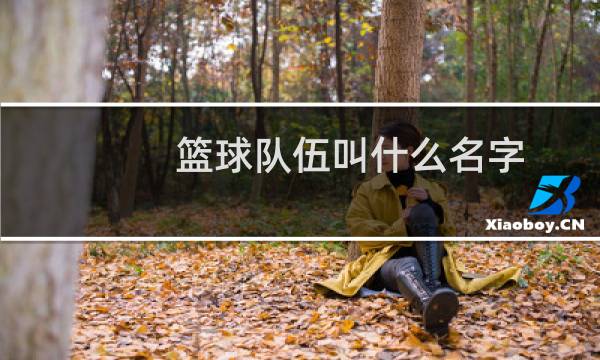 篮球队伍叫什么名字图片