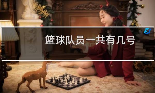 篮球队员一共有几号图片