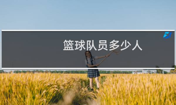 篮球队员多少人图片