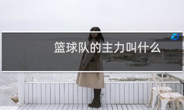 篮球队的主力叫什么图片